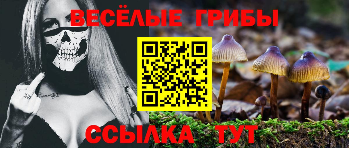 Учалы  Псилоцибиновые грибы Psilocybine cubensis  купить   Галлюциногенные грибы MAGIC MUSHROOMS  Вход с VPN 